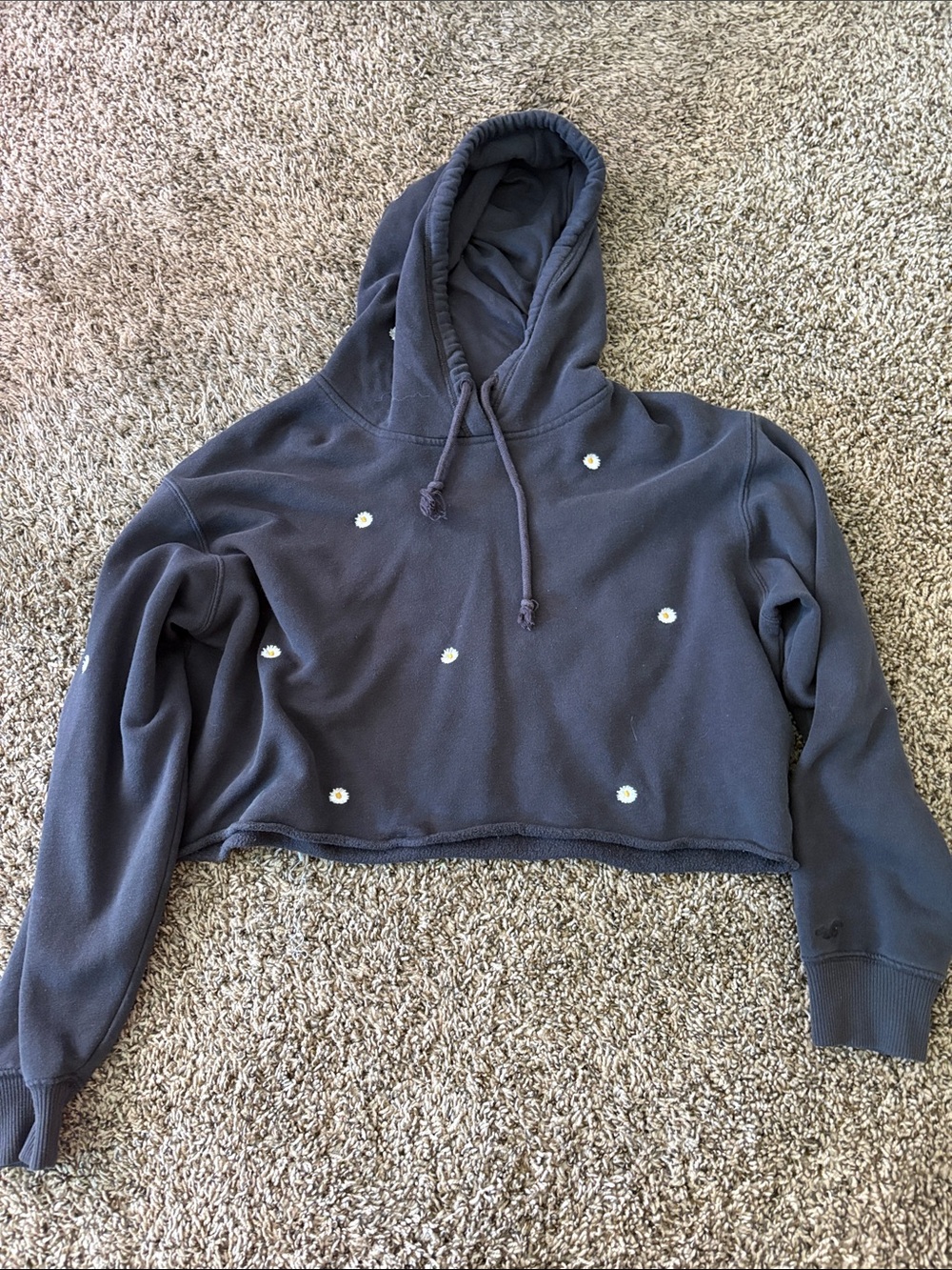 Cropped black Hoodie with Daisy Embroidery Hollister